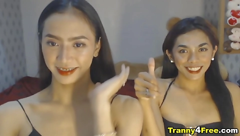 Asian shemale with small tits loves double fucking