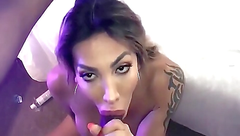 Thick brunette slut with a tattooed body sucking on a cock